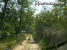 [P14]  -- <small>// FĂRĂ DESCRIERE</small> » foto by sigcristina
 - 
<span class="allrVoted glyphicon glyphicon-heart hidden" id="av295903"></span>
<a class="m-l-10 hidden" id="sv295903" onclick="voting_Foto_DelVot(,295903,26627)" role="button">șterge vot <span class="glyphicon glyphicon-remove"></span></a>
<a id="v9295903" class=" c-red"  onclick="voting_Foto_SetVot(295903)" role="button"><span class="glyphicon glyphicon-heart-empty"></span> <b>LIKE</b> = Votează poza</a> <img class="hidden"  id="f295903W9" src="/imagini/loader.gif" border="0" /><span class="AjErrMes hidden" id="e295903ErM"></span>