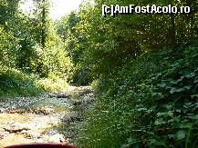 [P15]  -- <small>// FĂRĂ DESCRIERE</small> » foto by sigcristina
 - 
<span class="allrVoted glyphicon glyphicon-heart hidden" id="av295904"></span>
<a class="m-l-10 hidden" id="sv295904" onclick="voting_Foto_DelVot(,295904,26627)" role="button">șterge vot <span class="glyphicon glyphicon-remove"></span></a>
<a id="v9295904" class=" c-red"  onclick="voting_Foto_SetVot(295904)" role="button"><span class="glyphicon glyphicon-heart-empty"></span> <b>LIKE</b> = Votează poza</a> <img class="hidden"  id="f295904W9" src="/imagini/loader.gif" border="0" /><span class="AjErrMes hidden" id="e295904ErM"></span>