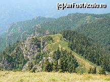 [P07]  -- <small>// FĂRĂ DESCRIERE</small> » foto by sigcristina
 - 
<span class="allrVoted glyphicon glyphicon-heart hidden" id="av295896"></span>
<a class="m-l-10 hidden" id="sv295896" onclick="voting_Foto_DelVot(,295896,26627)" role="button">șterge vot <span class="glyphicon glyphicon-remove"></span></a>
<a id="v9295896" class=" c-red"  onclick="voting_Foto_SetVot(295896)" role="button"><span class="glyphicon glyphicon-heart-empty"></span> <b>LIKE</b> = Votează poza</a> <img class="hidden"  id="f295896W9" src="/imagini/loader.gif" border="0" /><span class="AjErrMes hidden" id="e295896ErM"></span>