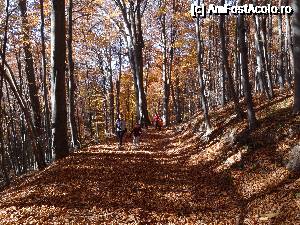 [P13] spre punctul ' La troita' » foto by wolf2001*
 - 
<span class="allrVoted glyphicon glyphicon-heart hidden" id="av690354"></span>
<a class="m-l-10 hidden" id="sv690354" onclick="voting_Foto_DelVot(,690354,26627)" role="button">șterge vot <span class="glyphicon glyphicon-remove"></span></a>
<a id="v9690354" class=" c-red"  onclick="voting_Foto_SetVot(690354)" role="button"><span class="glyphicon glyphicon-heart-empty"></span> <b>LIKE</b> = Votează poza</a> <img class="hidden"  id="f690354W9" src="/imagini/loader.gif" border="0" /><span class="AjErrMes hidden" id="e690354ErM"></span>