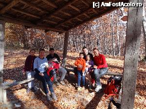 [P16] Pauza de gustari » foto by wolf2001*
 - 
<span class="allrVoted glyphicon glyphicon-heart hidden" id="av690357"></span>
<a class="m-l-10 hidden" id="sv690357" onclick="voting_Foto_DelVot(,690357,26627)" role="button">șterge vot <span class="glyphicon glyphicon-remove"></span></a>
<a id="v9690357" class=" c-red"  onclick="voting_Foto_SetVot(690357)" role="button"><span class="glyphicon glyphicon-heart-empty"></span> <b>LIKE</b> = Votează poza</a> <img class="hidden"  id="f690357W9" src="/imagini/loader.gif" border="0" /><span class="AjErrMes hidden" id="e690357ErM"></span>