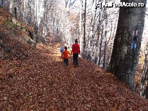 [P20] traseul spre Manastirea Stanisoara pe marcaj Banda Albastra BA » foto by wolf2001*
 - 
<span class="allrVoted glyphicon glyphicon-heart hidden" id="av690361"></span>
<a class="m-l-10 hidden" id="sv690361" onclick="voting_Foto_DelVot(,690361,26627)" role="button">șterge vot <span class="glyphicon glyphicon-remove"></span></a>
<a id="v9690361" class=" c-red"  onclick="voting_Foto_SetVot(690361)" role="button"><span class="glyphicon glyphicon-heart-empty"></span> <b>LIKE</b> = Votează poza</a> <img class="hidden"  id="f690361W9" src="/imagini/loader.gif" border="0" /><span class="AjErrMes hidden" id="e690361ErM"></span>