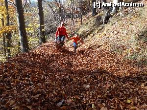 [P24] traseul spre Manastirea Stanisoara pe marcaj Banda Albastra BA » foto by wolf2001*
 - 
<span class="allrVoted glyphicon glyphicon-heart hidden" id="av690365"></span>
<a class="m-l-10 hidden" id="sv690365" onclick="voting_Foto_DelVot(,690365,26627)" role="button">șterge vot <span class="glyphicon glyphicon-remove"></span></a>
<a id="v9690365" class=" c-red"  onclick="voting_Foto_SetVot(690365)" role="button"><span class="glyphicon glyphicon-heart-empty"></span> <b>LIKE</b> = Votează poza</a> <img class="hidden"  id="f690365W9" src="/imagini/loader.gif" border="0" /><span class="AjErrMes hidden" id="e690365ErM"></span>