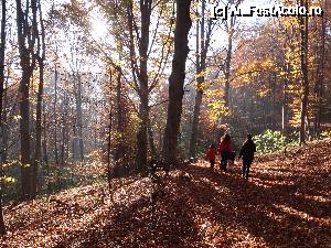 [P33]  -- <small>// FĂRĂ DESCRIERE</small> » foto by wolf2001*
 - 
<span class="allrVoted glyphicon glyphicon-heart hidden" id="av690374"></span>
<a class="m-l-10 hidden" id="sv690374" onclick="voting_Foto_DelVot(,690374,26627)" role="button">șterge vot <span class="glyphicon glyphicon-remove"></span></a>
<a id="v9690374" class=" c-red"  onclick="voting_Foto_SetVot(690374)" role="button"><span class="glyphicon glyphicon-heart-empty"></span> <b>LIKE</b> = Votează poza</a> <img class="hidden"  id="f690374W9" src="/imagini/loader.gif" border="0" /><span class="AjErrMes hidden" id="e690374ErM"></span>