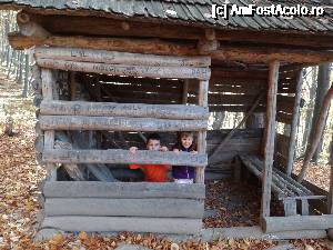 [P05]  -- <small>// FĂRĂ DESCRIERE</small> » foto by wolf2001*
 - 
<span class="allrVoted glyphicon glyphicon-heart hidden" id="av690346"></span>
<a class="m-l-10 hidden" id="sv690346" onclick="voting_Foto_DelVot(,690346,26627)" role="button">șterge vot <span class="glyphicon glyphicon-remove"></span></a>
<a id="v9690346" class=" c-red"  onclick="voting_Foto_SetVot(690346)" role="button"><span class="glyphicon glyphicon-heart-empty"></span> <b>LIKE</b> = Votează poza</a> <img class="hidden"  id="f690346W9" src="/imagini/loader.gif" border="0" /><span class="AjErrMes hidden" id="e690346ErM"></span>