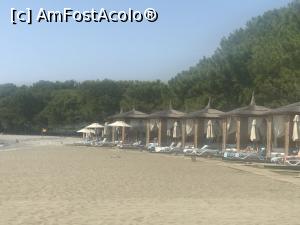 [P65] Barut Fethiye - un hotel aproape perfect - pavilioane pe plajă (contra cost) » foto by nicole33
 - 
<span class="allrVoted glyphicon glyphicon-heart hidden" id="av1201031"></span>
<a class="m-l-10 hidden" id="sv1201031" onclick="voting_Foto_DelVot(,1201031,26639)" role="button">șterge vot <span class="glyphicon glyphicon-remove"></span></a>
<a id="v91201031" class=" c-red"  onclick="voting_Foto_SetVot(1201031)" role="button"><span class="glyphicon glyphicon-heart-empty"></span> <b>LIKE</b> = Votează poza</a> <img class="hidden"  id="f1201031W9" src="/imagini/loader.gif" border="0" /><span class="AjErrMes hidden" id="e1201031ErM"></span>