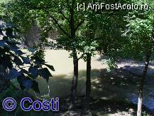 [P16] Apă, copaci, susur de izvoare la cascada Kaya Bunar. » foto by Costi
 - 
<span class="allrVoted glyphicon glyphicon-heart hidden" id="av244582"></span>
<a class="m-l-10 hidden" id="sv244582" onclick="voting_Foto_DelVot(,244582,26861)" role="button">șterge vot <span class="glyphicon glyphicon-remove"></span></a>
<a id="v9244582" class=" c-red"  onclick="voting_Foto_SetVot(244582)" role="button"><span class="glyphicon glyphicon-heart-empty"></span> <b>LIKE</b> = Votează poza</a> <img class="hidden"  id="f244582W9" src="/imagini/loader.gif" border="0" /><span class="AjErrMes hidden" id="e244582ErM"></span>