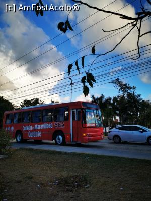 [P19] Bus-urile din Cancun » foto by cata2106
 - 
<span class="allrVoted glyphicon glyphicon-heart hidden" id="av1235654"></span>
<a class="m-l-10 hidden" id="sv1235654" onclick="voting_Foto_DelVot(,1235654,26902)" role="button">șterge vot <span class="glyphicon glyphicon-remove"></span></a>
<a id="v91235654" class=" c-red"  onclick="voting_Foto_SetVot(1235654)" role="button"><span class="glyphicon glyphicon-heart-empty"></span> <b>LIKE</b> = Votează poza</a> <img class="hidden"  id="f1235654W9" src="/imagini/loader.gif" border="0" /><span class="AjErrMes hidden" id="e1235654ErM"></span>