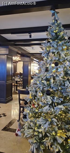 [P13] Frumosul brad din resyaurant » foto by kmy
 - 
<span class="allrVoted glyphicon glyphicon-heart hidden" id="av1515587"></span>
<a class="m-l-10 hidden" id="sv1515587" onclick="voting_Foto_DelVot(,1515587,27047)" role="button">șterge vot <span class="glyphicon glyphicon-remove"></span></a>
<a id="v91515587" class=" c-red"  onclick="voting_Foto_SetVot(1515587)" role="button"><span class="glyphicon glyphicon-heart-empty"></span> <b>LIKE</b> = Votează poza</a> <img class="hidden"  id="f1515587W9" src="/imagini/loader.gif" border="0" /><span class="AjErrMes hidden" id="e1515587ErM"></span>