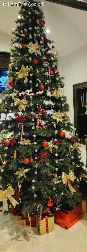 [P24] Bradul de la receptie » foto by kmy
 - 
<span class="allrVoted glyphicon glyphicon-heart hidden" id="av1515598"></span>
<a class="m-l-10 hidden" id="sv1515598" onclick="voting_Foto_DelVot(,1515598,27047)" role="button">șterge vot <span class="glyphicon glyphicon-remove"></span></a>
<a id="v91515598" class=" c-red"  onclick="voting_Foto_SetVot(1515598)" role="button"><span class="glyphicon glyphicon-heart-empty"></span> <b>LIKE</b> = Votează poza</a> <img class="hidden"  id="f1515598W9" src="/imagini/loader.gif" border="0" /><span class="AjErrMes hidden" id="e1515598ErM"></span>