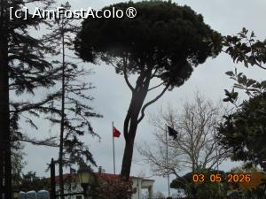 [P50] Parcul Emirgan Istanbul » foto by Yolanda
 - 
<span class="allrVoted glyphicon glyphicon-heart hidden" id="av1528851"></span>
<a class="m-l-10 hidden" id="sv1528851" onclick="voting_Foto_DelVot(,1528851,27088)" role="button">șterge vot <span class="glyphicon glyphicon-remove"></span></a>
<a id="v91528851" class=" c-red"  onclick="voting_Foto_SetVot(1528851)" role="button"><span class="glyphicon glyphicon-heart-empty"></span> <b>LIKE</b> = Votează poza</a> <img class="hidden"  id="f1528851W9" src="/imagini/loader.gif" border="0" /><span class="AjErrMes hidden" id="e1528851ErM"></span>