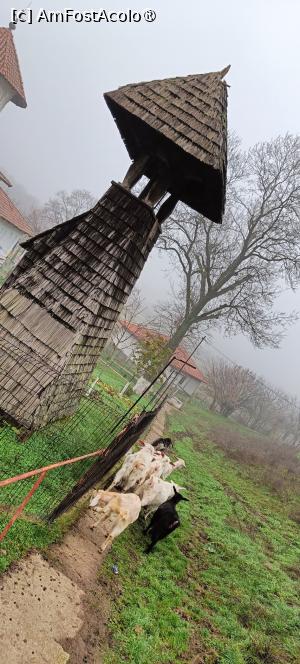 [P10] Vechea clopotniță și caprele localnicului. » foto by tata123 🔱
 - 
<span class="allrVoted glyphicon glyphicon-heart hidden" id="av1511898"></span>
<a class="m-l-10 hidden" id="sv1511898" onclick="voting_Foto_DelVot(,1511898,27275)" role="button">șterge vot <span class="glyphicon glyphicon-remove"></span></a>
<a id="v91511898" class=" c-red"  onclick="voting_Foto_SetVot(1511898)" role="button"><span class="glyphicon glyphicon-heart-empty"></span> <b>LIKE</b> = Votează poza</a> <img class="hidden"  id="f1511898W9" src="/imagini/loader.gif" border="0" /><span class="AjErrMes hidden" id="e1511898ErM"></span>