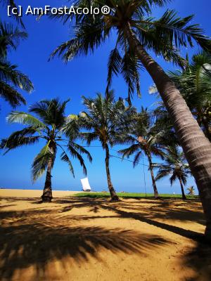 [P08] Plaja din Negombo » foto by cata2106
 - 
<span class="allrVoted glyphicon glyphicon-heart hidden" id="av1284564"></span>
<a class="m-l-10 hidden" id="sv1284564" onclick="voting_Foto_DelVot(,1284564,27382)" role="button">șterge vot <span class="glyphicon glyphicon-remove"></span></a>
<a id="v91284564" class=" c-red"  onclick="voting_Foto_SetVot(1284564)" role="button"><span class="glyphicon glyphicon-heart-empty"></span> <b>LIKE</b> = Votează poza</a> <img class="hidden"  id="f1284564W9" src="/imagini/loader.gif" border="0" /><span class="AjErrMes hidden" id="e1284564ErM"></span>