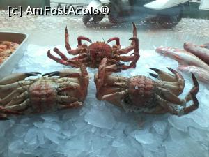 [P04] vitrine cu crabi » foto by ile57b <span class="label label-default labelC_thin small">NEVOTABILĂ</span>