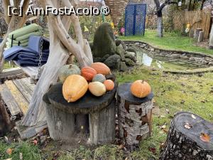 [P23] Pensiunea Melania Chiojdu - prin curte » foto by nicole33
 - 
<span class="allrVoted glyphicon glyphicon-heart hidden" id="av1511488"></span>
<a class="m-l-10 hidden" id="sv1511488" onclick="voting_Foto_DelVot(,1511488,27780)" role="button">șterge vot <span class="glyphicon glyphicon-remove"></span></a>
<a id="v91511488" class=" c-red"  onclick="voting_Foto_SetVot(1511488)" role="button"><span class="glyphicon glyphicon-heart-empty"></span> <b>LIKE</b> = Votează poza</a> <img class="hidden"  id="f1511488W9" src="/imagini/loader.gif" border="0" /><span class="AjErrMes hidden" id="e1511488ErM"></span>