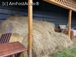 [P81] Pensiunea Melania Chiojdu - fân » foto by nicole33
 - 
<span class="allrVoted glyphicon glyphicon-heart hidden" id="av1511546"></span>
<a class="m-l-10 hidden" id="sv1511546" onclick="voting_Foto_DelVot(,1511546,27780)" role="button">șterge vot <span class="glyphicon glyphicon-remove"></span></a>
<a id="v91511546" class=" c-red"  onclick="voting_Foto_SetVot(1511546)" role="button"><span class="glyphicon glyphicon-heart-empty"></span> <b>LIKE</b> = Votează poza</a> <img class="hidden"  id="f1511546W9" src="/imagini/loader.gif" border="0" /><span class="AjErrMes hidden" id="e1511546ErM"></span>