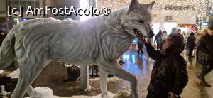 [P51] 51. Măi, cățelule, ție nu ți-e frig?....că eu am înghețat! » foto by doinafil
 - 
<span class="allrVoted glyphicon glyphicon-heart hidden" id="av1513365"></span>
<a class="m-l-10 hidden" id="sv1513365" onclick="voting_Foto_DelVot(,1513365,27805)" role="button">șterge vot <span class="glyphicon glyphicon-remove"></span></a>
<a id="v91513365" class=" c-red"  onclick="voting_Foto_SetVot(1513365)" role="button"><span class="glyphicon glyphicon-heart-empty"></span> <b>LIKE</b> = Votează poza</a> <img class="hidden"  id="f1513365W9" src="/imagini/loader.gif" border="0" /><span class="AjErrMes hidden" id="e1513365ErM"></span>