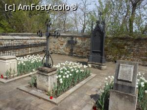 [P22] Vaslui - Situl Arheologic "Curtea Domneasca". Cimitirul. » foto by iulianic
 - 
<span class="allrVoted glyphicon glyphicon-heart hidden" id="av1296085"></span>
<a class="m-l-10 hidden" id="sv1296085" onclick="voting_Foto_DelVot(,1296085,27867)" role="button">șterge vot <span class="glyphicon glyphicon-remove"></span></a>
<a id="v91296085" class=" c-red"  onclick="voting_Foto_SetVot(1296085)" role="button"><span class="glyphicon glyphicon-heart-empty"></span> <b>LIKE</b> = Votează poza</a> <img class="hidden"  id="f1296085W9" src="/imagini/loader.gif" border="0" /><span class="AjErrMes hidden" id="e1296085ErM"></span>