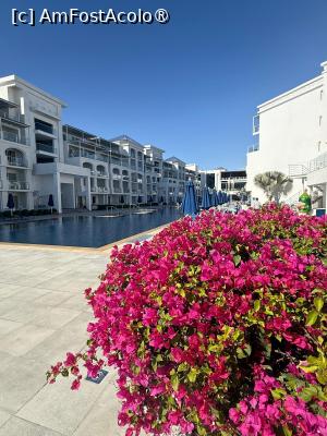 [P07] Flori frumoase » foto by Bomberman
 - 
<span class="allrVoted glyphicon glyphicon-heart hidden" id="av1515806"></span>
<a class="m-l-10 hidden" id="sv1515806" onclick="voting_Foto_DelVot(,1515806,28094)" role="button">șterge vot <span class="glyphicon glyphicon-remove"></span></a>
<a id="v91515806" class=" c-red"  onclick="voting_Foto_SetVot(1515806)" role="button"><span class="glyphicon glyphicon-heart-empty"></span> <b>LIKE</b> = Votează poza</a> <img class="hidden"  id="f1515806W9" src="/imagini/loader.gif" border="0" /><span class="AjErrMes hidden" id="e1515806ErM"></span>