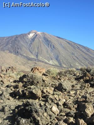 [P11] În planul doi vulcanul El Teide » foto by Michi
 - 
<span class="allrVoted glyphicon glyphicon-heart hidden" id="av914793"></span>
<a class="m-l-10 hidden" id="sv914793" onclick="voting_Foto_DelVot(,914793,28122)" role="button">șterge vot <span class="glyphicon glyphicon-remove"></span></a>
<a id="v9914793" class=" c-red"  onclick="voting_Foto_SetVot(914793)" role="button"><span class="glyphicon glyphicon-heart-empty"></span> <b>LIKE</b> = Votează poza</a> <img class="hidden"  id="f914793W9" src="/imagini/loader.gif" border="0" /><span class="AjErrMes hidden" id="e914793ErM"></span>