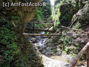 [P08] Punți asigurate cu balustradă în zona mediană a sectorului din aval a Cheilor Moara Dracului » foto by Lucien
 - 
<span class="allrVoted glyphicon glyphicon-heart hidden" id="av840291"></span>
<a class="m-l-10 hidden" id="sv840291" onclick="voting_Foto_DelVot(,840291,28345)" role="button">șterge vot <span class="glyphicon glyphicon-remove"></span></a>
<a id="v9840291" class=" c-red"  onclick="voting_Foto_SetVot(840291)" role="button"><span class="glyphicon glyphicon-heart-empty"></span> <b>LIKE</b> = Votează poza</a> <img class="hidden"  id="f840291W9" src="/imagini/loader.gif" border="0" /><span class="AjErrMes hidden" id="e840291ErM"></span>