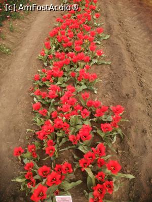 [P03]  -- <small>// FĂRĂ DESCRIERE</small> » foto by Cristian_h
 - 
<span class="allrVoted glyphicon glyphicon-heart hidden" id="av1518634"></span>
<a class="m-l-10 hidden" id="sv1518634" onclick="voting_Foto_DelVot(,1518634,28416)" role="button">șterge vot <span class="glyphicon glyphicon-remove"></span></a>
<a id="v91518634" class=" c-red"  onclick="voting_Foto_SetVot(1518634)" role="button"><span class="glyphicon glyphicon-heart-empty"></span> <b>LIKE</b> = Votează poza</a> <img class="hidden"  id="f1518634W9" src="/imagini/loader.gif" border="0" /><span class="AjErrMes hidden" id="e1518634ErM"></span>