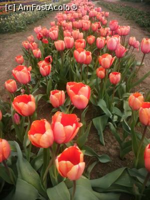 [P04]  -- <small>// FĂRĂ DESCRIERE</small> » foto by Cristian_h
 - 
<span class="allrVoted glyphicon glyphicon-heart hidden" id="av1518635"></span>
<a class="m-l-10 hidden" id="sv1518635" onclick="voting_Foto_DelVot(,1518635,28416)" role="button">șterge vot <span class="glyphicon glyphicon-remove"></span></a>
<a id="v91518635" class=" c-red"  onclick="voting_Foto_SetVot(1518635)" role="button"><span class="glyphicon glyphicon-heart-empty"></span> <b>LIKE</b> = Votează poza</a> <img class="hidden"  id="f1518635W9" src="/imagini/loader.gif" border="0" /><span class="AjErrMes hidden" id="e1518635ErM"></span>