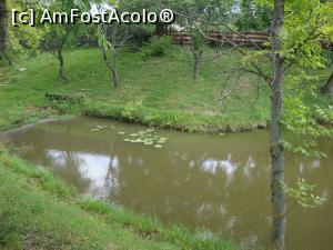 [P20] Un mic lac aflat în curtea unui localnic. Vedem câțiva nuferi într-un colț. Sunt multe astfel de ochiuri de apă la Vintileasca.  » foto by Floryn81
 - 
<span class="allrVoted glyphicon glyphicon-heart hidden" id="av760440"></span>
<a class="m-l-10 hidden" id="sv760440" onclick="voting_Foto_DelVot(,760440,28582)" role="button">șterge vot <span class="glyphicon glyphicon-remove"></span></a>
<a id="v9760440" class=" c-red"  onclick="voting_Foto_SetVot(760440)" role="button"><span class="glyphicon glyphicon-heart-empty"></span> <b>LIKE</b> = Votează poza</a> <img class="hidden"  id="f760440W9" src="/imagini/loader.gif" border="0" /><span class="AjErrMes hidden" id="e760440ErM"></span>