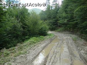 [P30] Noroiul de pe drumul forestier vrea să ne facă să renunțăm. Nici vorbă, vom ajunge la cascadă! Neapărat!  » foto by Floryn81
 - 
<span class="allrVoted glyphicon glyphicon-heart hidden" id="av760463"></span>
<a class="m-l-10 hidden" id="sv760463" onclick="voting_Foto_DelVot(,760463,28582)" role="button">șterge vot <span class="glyphicon glyphicon-remove"></span></a>
<a id="v9760463" class=" c-red"  onclick="voting_Foto_SetVot(760463)" role="button"><span class="glyphicon glyphicon-heart-empty"></span> <b>LIKE</b> = Votează poza</a> <img class="hidden"  id="f760463W9" src="/imagini/loader.gif" border="0" /><span class="AjErrMes hidden" id="e760463ErM"></span>