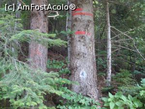 [P38] Din loc în loc apar astfel de marcaje pe marginea drumului forestier Muntioru.  » foto by Floryn81
 - 
<span class="allrVoted glyphicon glyphicon-heart hidden" id="av760482"></span>
<a class="m-l-10 hidden" id="sv760482" onclick="voting_Foto_DelVot(,760482,28582)" role="button">șterge vot <span class="glyphicon glyphicon-remove"></span></a>
<a id="v9760482" class=" c-red"  onclick="voting_Foto_SetVot(760482)" role="button"><span class="glyphicon glyphicon-heart-empty"></span> <b>LIKE</b> = Votează poza</a> <img class="hidden"  id="f760482W9" src="/imagini/loader.gif" border="0" /><span class="AjErrMes hidden" id="e760482ErM"></span>