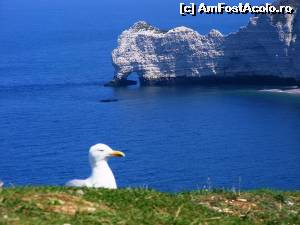 [P10] Etretat - impresie » foto by makuy*
 - 
<span class="allrVoted glyphicon glyphicon-heart hidden" id="av539706"></span>
<a class="m-l-10 hidden" id="sv539706" onclick="voting_Foto_DelVot(,539706,28721)" role="button">șterge vot <span class="glyphicon glyphicon-remove"></span></a>
<a id="v9539706" class=" c-red"  onclick="voting_Foto_SetVot(539706)" role="button"><span class="glyphicon glyphicon-heart-empty"></span> <b>LIKE</b> = Votează poza</a> <img class="hidden"  id="f539706W9" src="/imagini/loader.gif" border="0" /><span class="AjErrMes hidden" id="e539706ErM"></span>