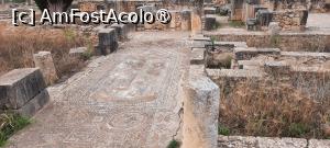 [P05] Volubilis, Casa lui Venus, Mozaicul nu prea bine conservat » foto by mprofeanu
 - 
<span class="allrVoted glyphicon glyphicon-heart hidden" id="av1468579"></span>
<a class="m-l-10 hidden" id="sv1468579" onclick="voting_Foto_DelVot(,1468579,28879)" role="button">șterge vot <span class="glyphicon glyphicon-remove"></span></a>
<a id="v91468579" class=" c-red"  onclick="voting_Foto_SetVot(1468579)" role="button"><span class="glyphicon glyphicon-heart-empty"></span> <b>LIKE</b> = Votează poza</a> <img class="hidden"  id="f1468579W9" src="/imagini/loader.gif" border="0" /><span class="AjErrMes hidden" id="e1468579ErM"></span>