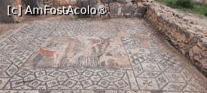 [P06] Volubilis, Casa lui Venus, „Mozaicul Baia Dianei” » foto by mprofeanu
 - 
<span class="allrVoted glyphicon glyphicon-heart hidden" id="av1468580"></span>
<a class="m-l-10 hidden" id="sv1468580" onclick="voting_Foto_DelVot(,1468580,28879)" role="button">șterge vot <span class="glyphicon glyphicon-remove"></span></a>
<a id="v91468580" class=" c-red"  onclick="voting_Foto_SetVot(1468580)" role="button"><span class="glyphicon glyphicon-heart-empty"></span> <b>LIKE</b> = Votează poza</a> <img class="hidden"  id="f1468580W9" src="/imagini/loader.gif" border="0" /><span class="AjErrMes hidden" id="e1468580ErM"></span>