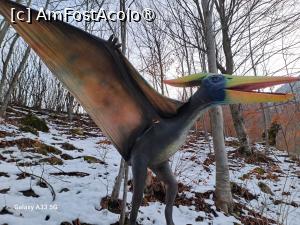 [P32] DexiWorld Park Mălaia - Pteranodon » foto by nicole33
 - 
<span class="allrVoted glyphicon glyphicon-heart hidden" id="av1470035"></span>
<a class="m-l-10 hidden" id="sv1470035" onclick="voting_Foto_DelVot(,1470035,28895)" role="button">șterge vot <span class="glyphicon glyphicon-remove"></span></a>
<a id="v91470035" class=" c-red"  onclick="voting_Foto_SetVot(1470035)" role="button"><span class="glyphicon glyphicon-heart-empty"></span> <b>LIKE</b> = Votează poza</a> <img class="hidden"  id="f1470035W9" src="/imagini/loader.gif" border="0" /><span class="AjErrMes hidden" id="e1470035ErM"></span>