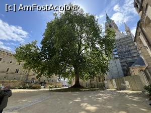 [P44] Place de la Liberte, cu “Arbre de la Liberté” (Arborele Libertății) » foto by Mika
 - 
<span class="allrVoted glyphicon glyphicon-heart hidden" id="av1475398"></span>
<a class="m-l-10 hidden" id="sv1475398" onclick="voting_Foto_DelVot(,1475398,28934)" role="button">șterge vot <span class="glyphicon glyphicon-remove"></span></a>
<a id="v91475398" class=" c-red"  onclick="voting_Foto_SetVot(1475398)" role="button"><span class="glyphicon glyphicon-heart-empty"></span> <b>LIKE</b> = Votează poza</a> <img class="hidden"  id="f1475398W9" src="/imagini/loader.gif" border="0" /><span class="AjErrMes hidden" id="e1475398ErM"></span>