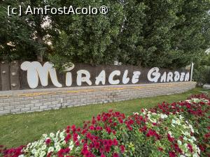 [P01] Miracle Garden Dubai,intrare » foto by AZE
 - 
<span class="allrVoted glyphicon glyphicon-heart hidden" id="av1484516"></span>
<a class="m-l-10 hidden" id="sv1484516" onclick="voting_Foto_DelVot(,1484516,28974)" role="button">șterge vot <span class="glyphicon glyphicon-remove"></span></a>
<a id="v91484516" class=" c-red"  onclick="voting_Foto_SetVot(1484516)" role="button"><span class="glyphicon glyphicon-heart-empty"></span> <b>LIKE</b> = Votează poza</a> <img class="hidden"  id="f1484516W9" src="/imagini/loader.gif" border="0" /><span class="AjErrMes hidden" id="e1484516ErM"></span>