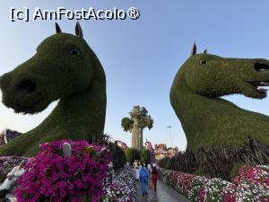 [P11] Miracle Garden Dubai,cai verzi pe pereti » foto by AZE
 - 
<span class="allrVoted glyphicon glyphicon-heart hidden" id="av1484526"></span>
<a class="m-l-10 hidden" id="sv1484526" onclick="voting_Foto_DelVot(,1484526,28974)" role="button">șterge vot <span class="glyphicon glyphicon-remove"></span></a>
<a id="v91484526" class=" c-red"  onclick="voting_Foto_SetVot(1484526)" role="button"><span class="glyphicon glyphicon-heart-empty"></span> <b>LIKE</b> = Votează poza</a> <img class="hidden"  id="f1484526W9" src="/imagini/loader.gif" border="0" /><span class="AjErrMes hidden" id="e1484526ErM"></span>