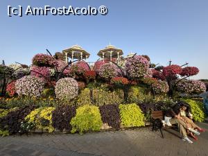 [P13] Miracle Garden Dubai » foto by AZE
 - 
<span class="allrVoted glyphicon glyphicon-heart hidden" id="av1484528"></span>
<a class="m-l-10 hidden" id="sv1484528" onclick="voting_Foto_DelVot(,1484528,28974)" role="button">șterge vot <span class="glyphicon glyphicon-remove"></span></a>
<a id="v91484528" class=" c-red"  onclick="voting_Foto_SetVot(1484528)" role="button"><span class="glyphicon glyphicon-heart-empty"></span> <b>LIKE</b> = Votează poza</a> <img class="hidden"  id="f1484528W9" src="/imagini/loader.gif" border="0" /><span class="AjErrMes hidden" id="e1484528ErM"></span>