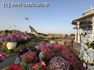 [P15] Miracle Garden Dubai » foto by AZE
 - 
<span class="allrVoted glyphicon glyphicon-heart hidden" id="av1484530"></span>
<a class="m-l-10 hidden" id="sv1484530" onclick="voting_Foto_DelVot(,1484530,28974)" role="button">șterge vot <span class="glyphicon glyphicon-remove"></span></a>
<a id="v91484530" class=" c-red"  onclick="voting_Foto_SetVot(1484530)" role="button"><span class="glyphicon glyphicon-heart-empty"></span> <b>LIKE</b> = Votează poza</a> <img class="hidden"  id="f1484530W9" src="/imagini/loader.gif" border="0" /><span class="AjErrMes hidden" id="e1484530ErM"></span>