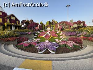 [P19] Miracle Garden Dubai » foto by AZE
 - 
<span class="allrVoted glyphicon glyphicon-heart hidden" id="av1484534"></span>
<a class="m-l-10 hidden" id="sv1484534" onclick="voting_Foto_DelVot(,1484534,28974)" role="button">șterge vot <span class="glyphicon glyphicon-remove"></span></a>
<a id="v91484534" class=" c-red"  onclick="voting_Foto_SetVot(1484534)" role="button"><span class="glyphicon glyphicon-heart-empty"></span> <b>LIKE</b> = Votează poza</a> <img class="hidden"  id="f1484534W9" src="/imagini/loader.gif" border="0" /><span class="AjErrMes hidden" id="e1484534ErM"></span>