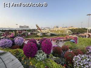 [P02] Miracle Garden Dubai,vedere de sus » foto by AZE
 - 
<span class="allrVoted glyphicon glyphicon-heart hidden" id="av1484517"></span>
<a class="m-l-10 hidden" id="sv1484517" onclick="voting_Foto_DelVot(,1484517,28974)" role="button">șterge vot <span class="glyphicon glyphicon-remove"></span></a>
<a id="v91484517" class=" c-red"  onclick="voting_Foto_SetVot(1484517)" role="button"><span class="glyphicon glyphicon-heart-empty"></span> <b>LIKE</b> = Votează poza</a> <img class="hidden"  id="f1484517W9" src="/imagini/loader.gif" border="0" /><span class="AjErrMes hidden" id="e1484517ErM"></span>