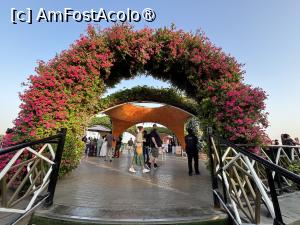 [P20] Miracle Garden Dubai » foto by AZE
 - 
<span class="allrVoted glyphicon glyphicon-heart hidden" id="av1484535"></span>
<a class="m-l-10 hidden" id="sv1484535" onclick="voting_Foto_DelVot(,1484535,28974)" role="button">șterge vot <span class="glyphicon glyphicon-remove"></span></a>
<a id="v91484535" class=" c-red"  onclick="voting_Foto_SetVot(1484535)" role="button"><span class="glyphicon glyphicon-heart-empty"></span> <b>LIKE</b> = Votează poza</a> <img class="hidden"  id="f1484535W9" src="/imagini/loader.gif" border="0" /><span class="AjErrMes hidden" id="e1484535ErM"></span>