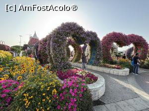 [P21] Miracle Garden Dubai » foto by AZE
 - 
<span class="allrVoted glyphicon glyphicon-heart hidden" id="av1484536"></span>
<a class="m-l-10 hidden" id="sv1484536" onclick="voting_Foto_DelVot(,1484536,28974)" role="button">șterge vot <span class="glyphicon glyphicon-remove"></span></a>
<a id="v91484536" class=" c-red"  onclick="voting_Foto_SetVot(1484536)" role="button"><span class="glyphicon glyphicon-heart-empty"></span> <b>LIKE</b> = Votează poza</a> <img class="hidden"  id="f1484536W9" src="/imagini/loader.gif" border="0" /><span class="AjErrMes hidden" id="e1484536ErM"></span>
