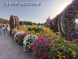 [P22] Miracle Garden Dubai » foto by AZE
 - 
<span class="allrVoted glyphicon glyphicon-heart hidden" id="av1484537"></span>
<a class="m-l-10 hidden" id="sv1484537" onclick="voting_Foto_DelVot(,1484537,28974)" role="button">șterge vot <span class="glyphicon glyphicon-remove"></span></a>
<a id="v91484537" class=" c-red"  onclick="voting_Foto_SetVot(1484537)" role="button"><span class="glyphicon glyphicon-heart-empty"></span> <b>LIKE</b> = Votează poza</a> <img class="hidden"  id="f1484537W9" src="/imagini/loader.gif" border="0" /><span class="AjErrMes hidden" id="e1484537ErM"></span>