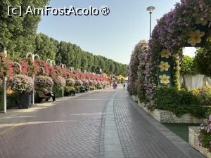 [P23] Miracle Garden Dubai,aleea circulară principală » foto by AZE
 - 
<span class="allrVoted glyphicon glyphicon-heart hidden" id="av1484538"></span>
<a class="m-l-10 hidden" id="sv1484538" onclick="voting_Foto_DelVot(,1484538,28974)" role="button">șterge vot <span class="glyphicon glyphicon-remove"></span></a>
<a id="v91484538" class=" c-red"  onclick="voting_Foto_SetVot(1484538)" role="button"><span class="glyphicon glyphicon-heart-empty"></span> <b>LIKE</b> = Votează poza</a> <img class="hidden"  id="f1484538W9" src="/imagini/loader.gif" border="0" /><span class="AjErrMes hidden" id="e1484538ErM"></span>