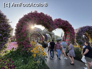 [P26] Miracle Garden Dubai » foto by AZE
 - 
<span class="allrVoted glyphicon glyphicon-heart hidden" id="av1484541"></span>
<a class="m-l-10 hidden" id="sv1484541" onclick="voting_Foto_DelVot(,1484541,28974)" role="button">șterge vot <span class="glyphicon glyphicon-remove"></span></a>
<a id="v91484541" class=" c-red"  onclick="voting_Foto_SetVot(1484541)" role="button"><span class="glyphicon glyphicon-heart-empty"></span> <b>LIKE</b> = Votează poza</a> <img class="hidden"  id="f1484541W9" src="/imagini/loader.gif" border="0" /><span class="AjErrMes hidden" id="e1484541ErM"></span>