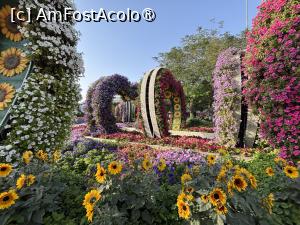 [P27] Miracle Garden Dubai » foto by AZE
 - 
<span class="allrVoted glyphicon glyphicon-heart hidden" id="av1484542"></span>
<a class="m-l-10 hidden" id="sv1484542" onclick="voting_Foto_DelVot(,1484542,28974)" role="button">șterge vot <span class="glyphicon glyphicon-remove"></span></a>
<a id="v91484542" class=" c-red"  onclick="voting_Foto_SetVot(1484542)" role="button"><span class="glyphicon glyphicon-heart-empty"></span> <b>LIKE</b> = Votează poza</a> <img class="hidden"  id="f1484542W9" src="/imagini/loader.gif" border="0" /><span class="AjErrMes hidden" id="e1484542ErM"></span>