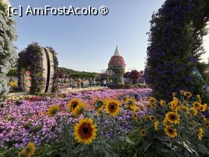[P28] Miracle Garden Dubai » foto by AZE
 - 
<span class="allrVoted glyphicon glyphicon-heart hidden" id="av1484543"></span>
<a class="m-l-10 hidden" id="sv1484543" onclick="voting_Foto_DelVot(,1484543,28974)" role="button">șterge vot <span class="glyphicon glyphicon-remove"></span></a>
<a id="v91484543" class=" c-red"  onclick="voting_Foto_SetVot(1484543)" role="button"><span class="glyphicon glyphicon-heart-empty"></span> <b>LIKE</b> = Votează poza</a> <img class="hidden"  id="f1484543W9" src="/imagini/loader.gif" border="0" /><span class="AjErrMes hidden" id="e1484543ErM"></span>