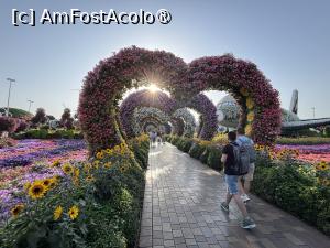 [P29] Miracle Garden Dubai » foto by AZE
 - 
<span class="allrVoted glyphicon glyphicon-heart hidden" id="av1484544"></span>
<a class="m-l-10 hidden" id="sv1484544" onclick="voting_Foto_DelVot(,1484544,28974)" role="button">șterge vot <span class="glyphicon glyphicon-remove"></span></a>
<a id="v91484544" class=" c-red"  onclick="voting_Foto_SetVot(1484544)" role="button"><span class="glyphicon glyphicon-heart-empty"></span> <b>LIKE</b> = Votează poza</a> <img class="hidden"  id="f1484544W9" src="/imagini/loader.gif" border="0" /><span class="AjErrMes hidden" id="e1484544ErM"></span>