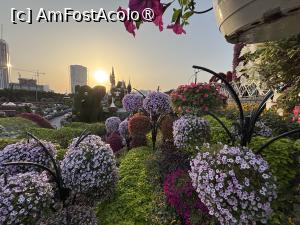 [P03] Miracle Garden Dubai,apus » foto by AZE
 - 
<span class="allrVoted glyphicon glyphicon-heart hidden" id="av1484518"></span>
<a class="m-l-10 hidden" id="sv1484518" onclick="voting_Foto_DelVot(,1484518,28974)" role="button">șterge vot <span class="glyphicon glyphicon-remove"></span></a>
<a id="v91484518" class=" c-red"  onclick="voting_Foto_SetVot(1484518)" role="button"><span class="glyphicon glyphicon-heart-empty"></span> <b>LIKE</b> = Votează poza</a> <img class="hidden"  id="f1484518W9" src="/imagini/loader.gif" border="0" /><span class="AjErrMes hidden" id="e1484518ErM"></span>